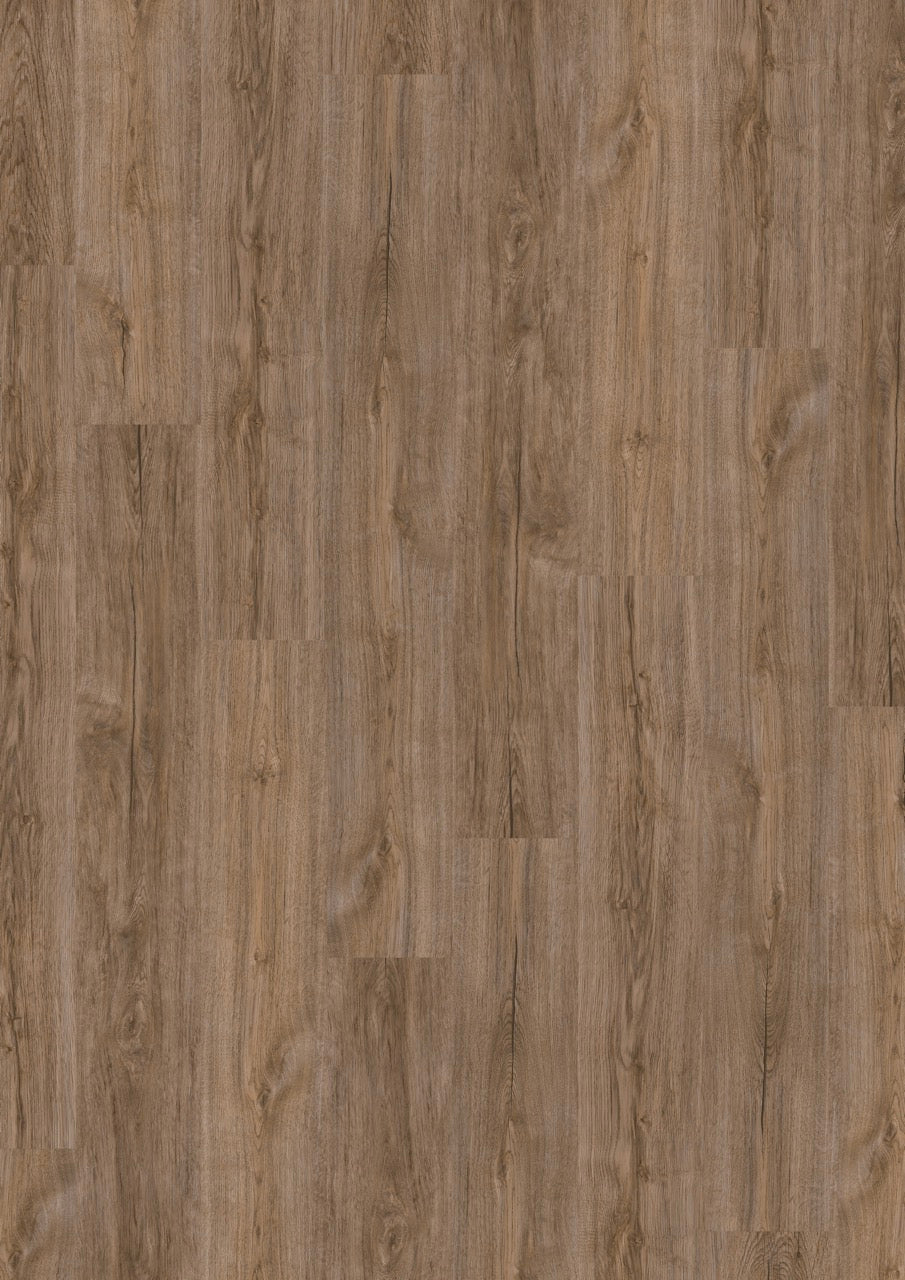 JOKA Design 555 2,5mm/NS 0,55mm Dryback / Klebevariante 5204 Brown Cr.Oak Zum Kleben
