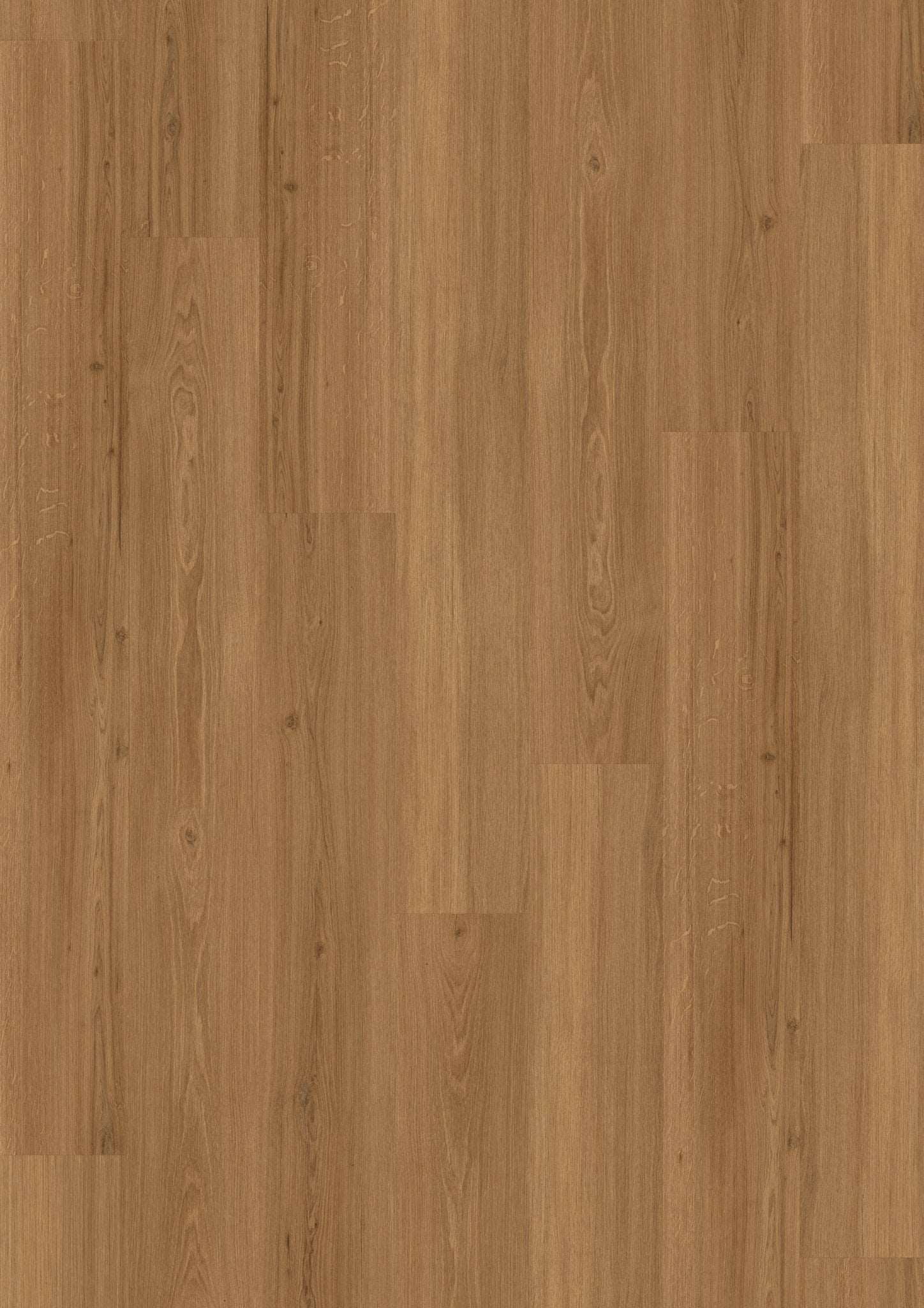 JOKA DESIGN 555 Click 5,0mm/NS 0.55mm 476P Incredible Classic Oak Zum Klicken